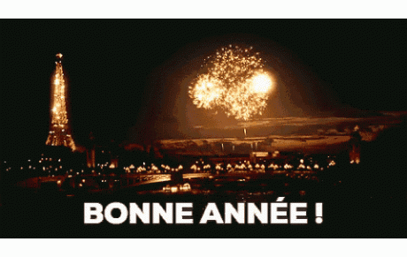 Bonne année à tous!!!